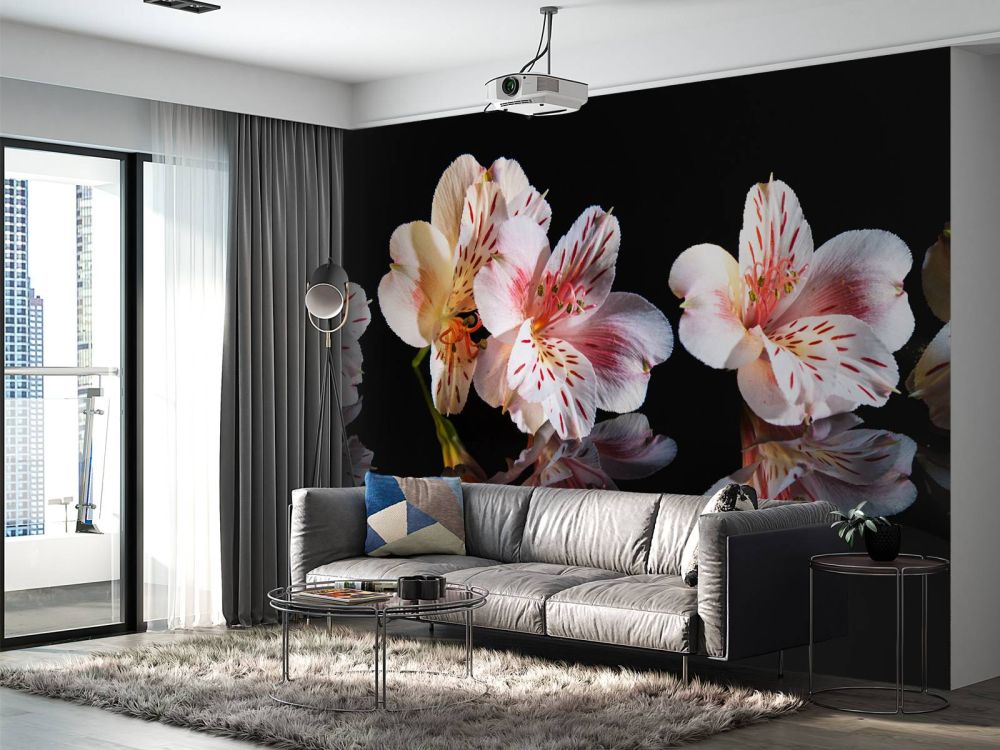 Alstroemeria bloemen met reflectie
