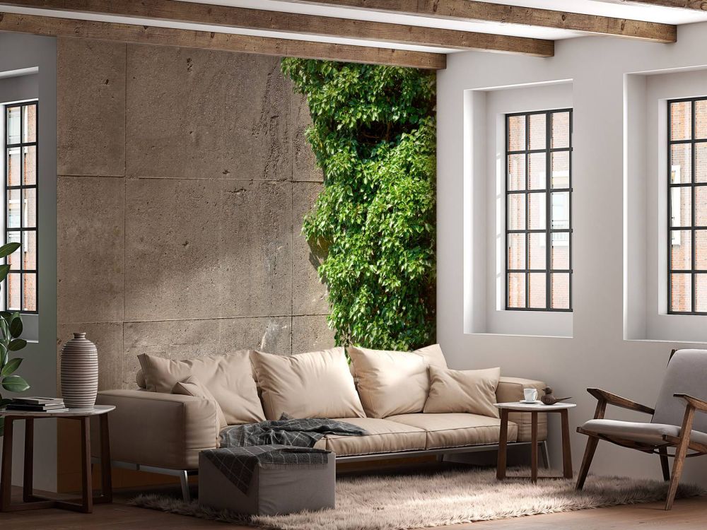 Beton met struik 