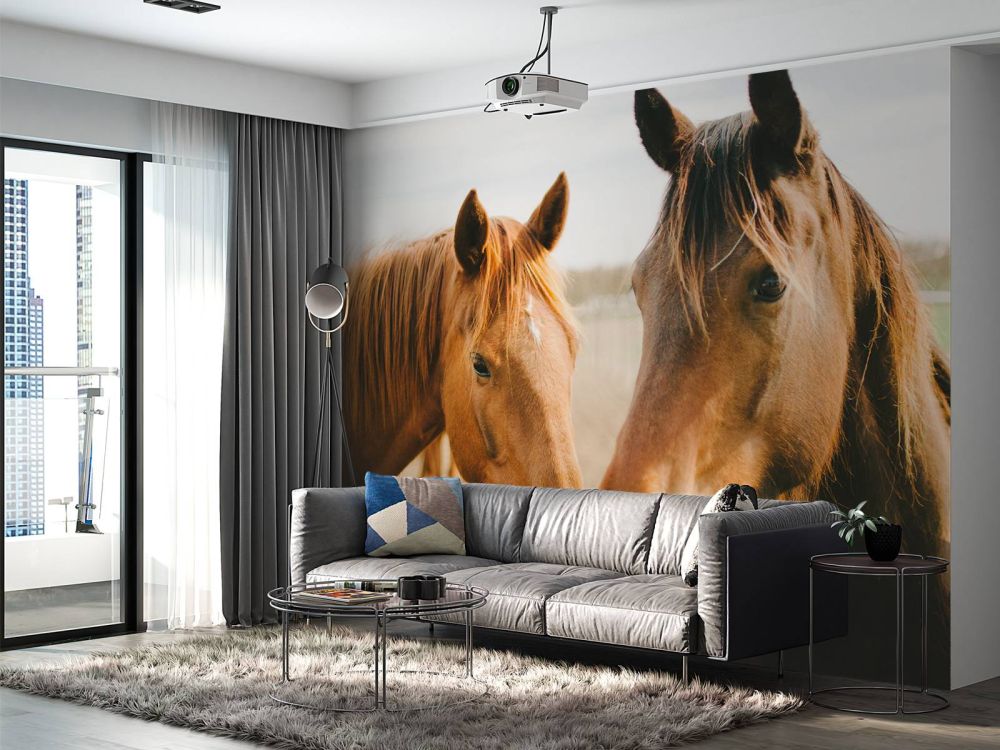Twee paarden
