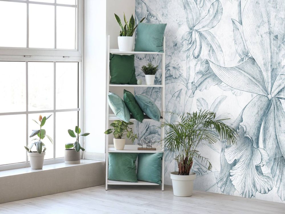 Orchids Contour 5