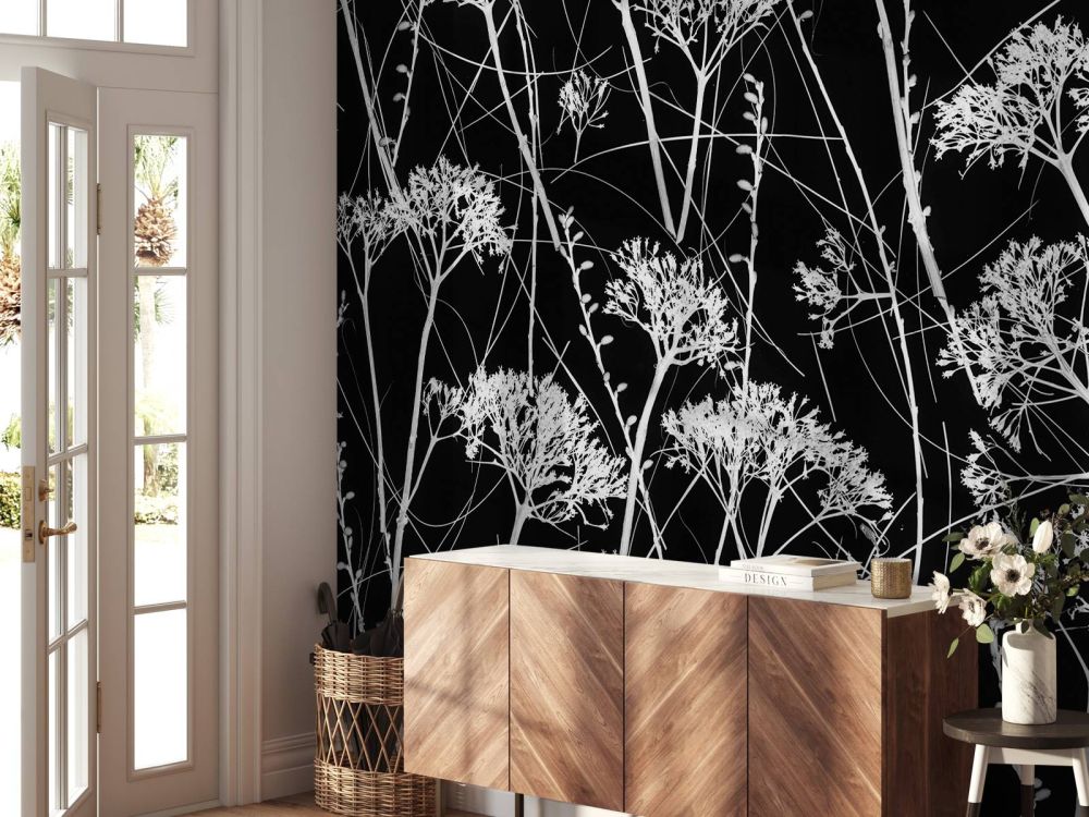 Silhouet van gedroogde planten