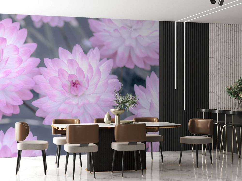 Dahlia bloemen roze