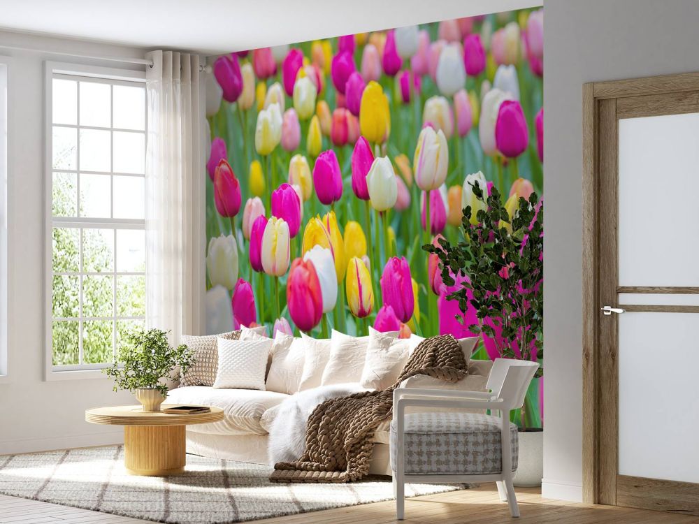Kleurrijke tulpen in een veld