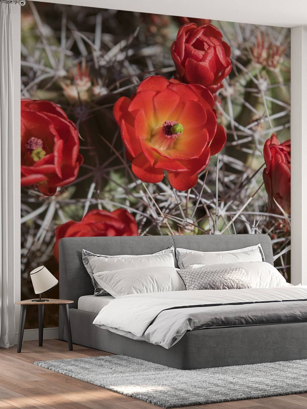Rode cactus bloemen