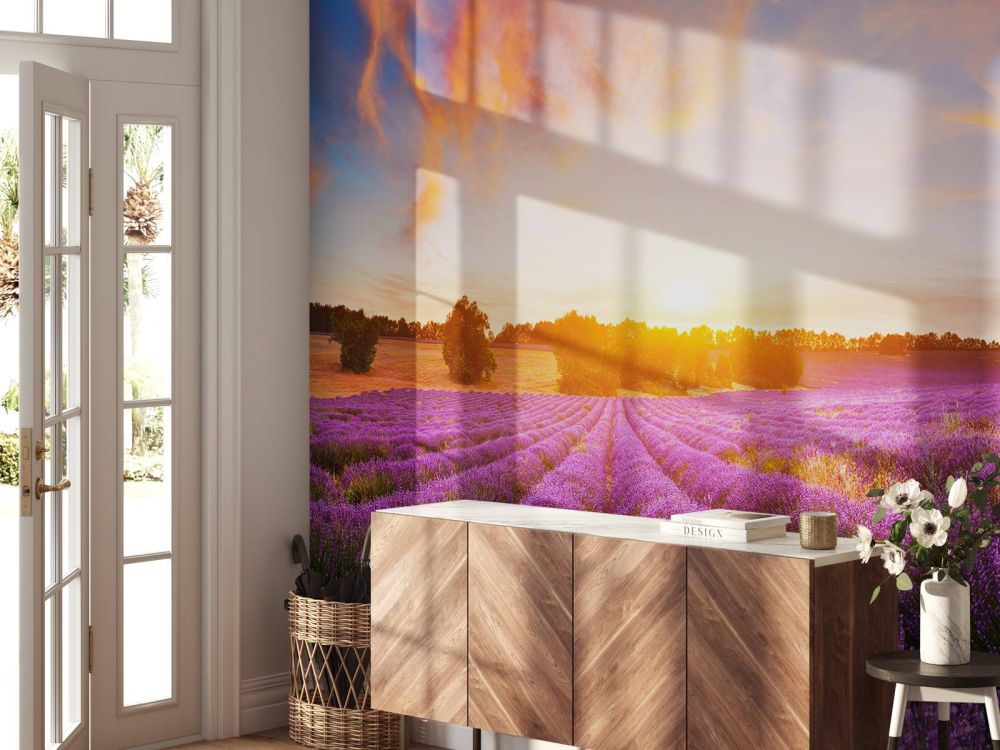 Lavendel Veld op fotobehang