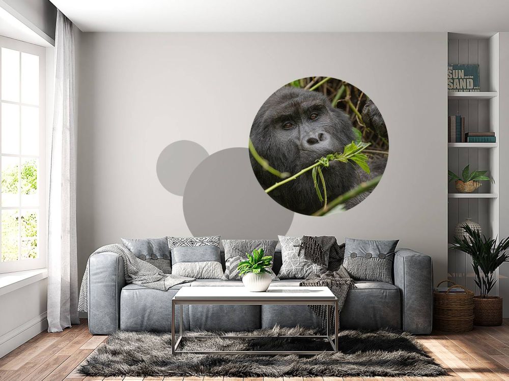 Gorilla tussen de takken