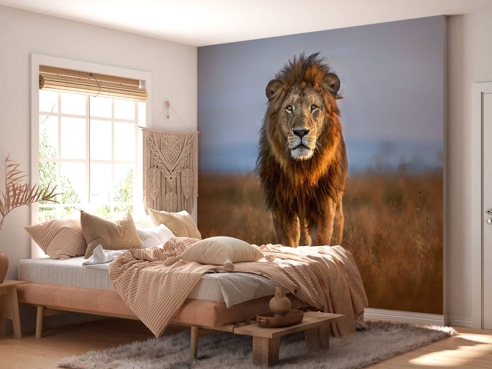 Lion Close Up