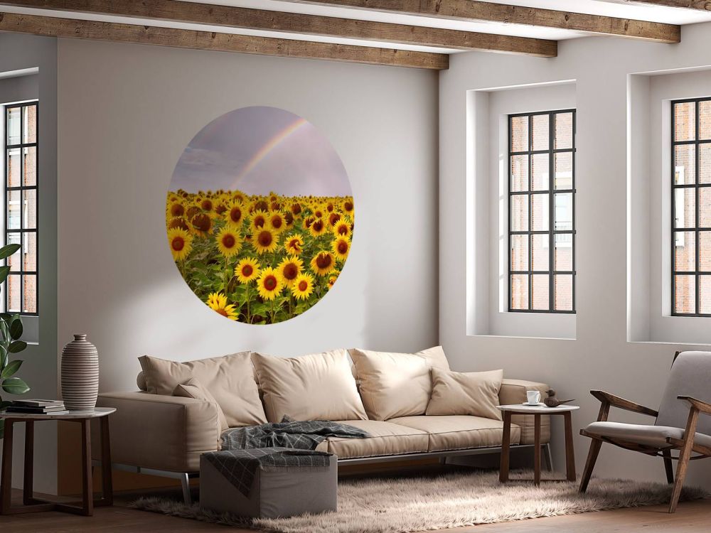 Regenboog bij zonnebloemen