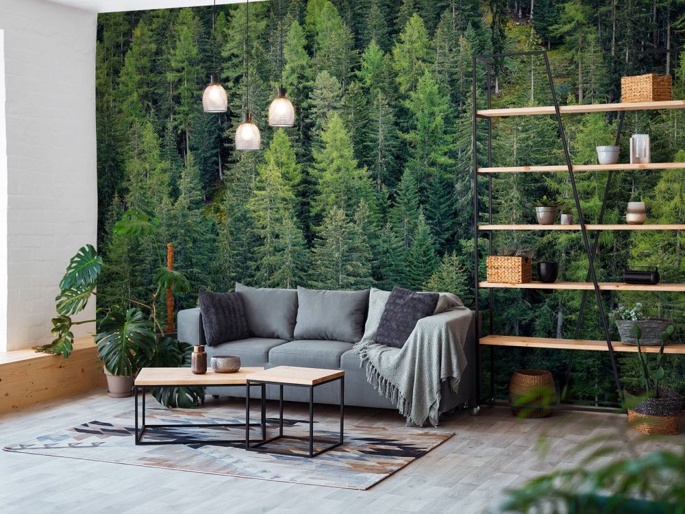 Groen sparrenbos