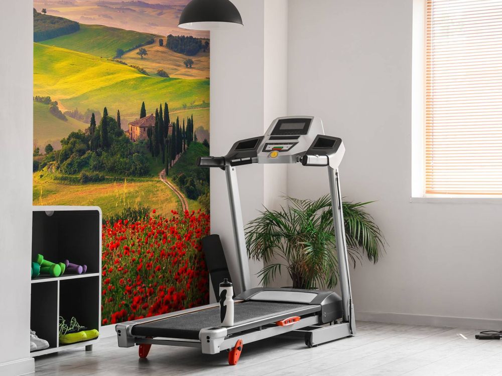 Rode klaprozen met Italiaans landschap