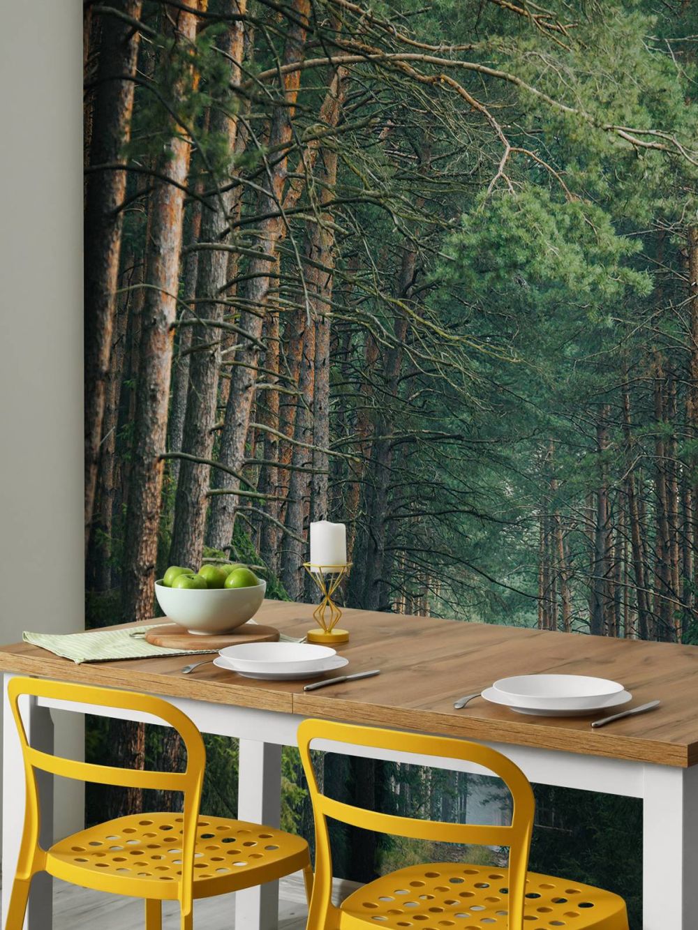The Forest road 3
