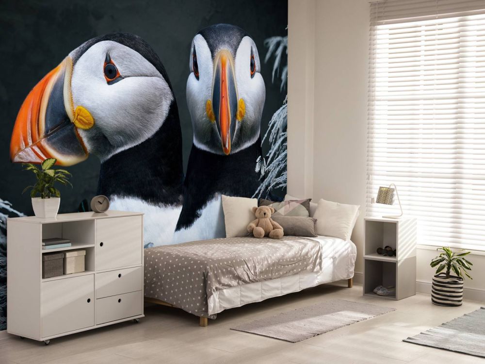 Atlantic Puffins