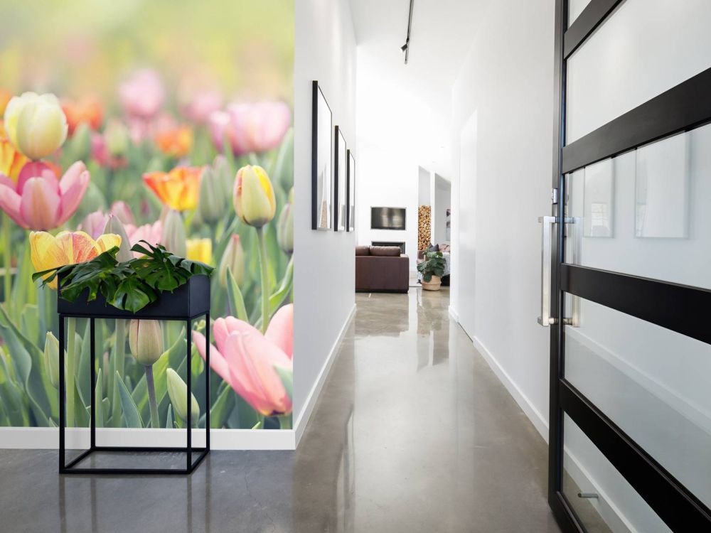 Kleurrijke tulpen