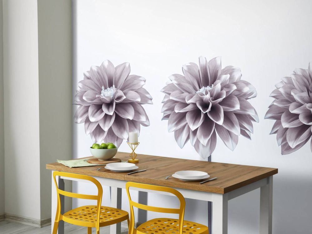Dahlia's