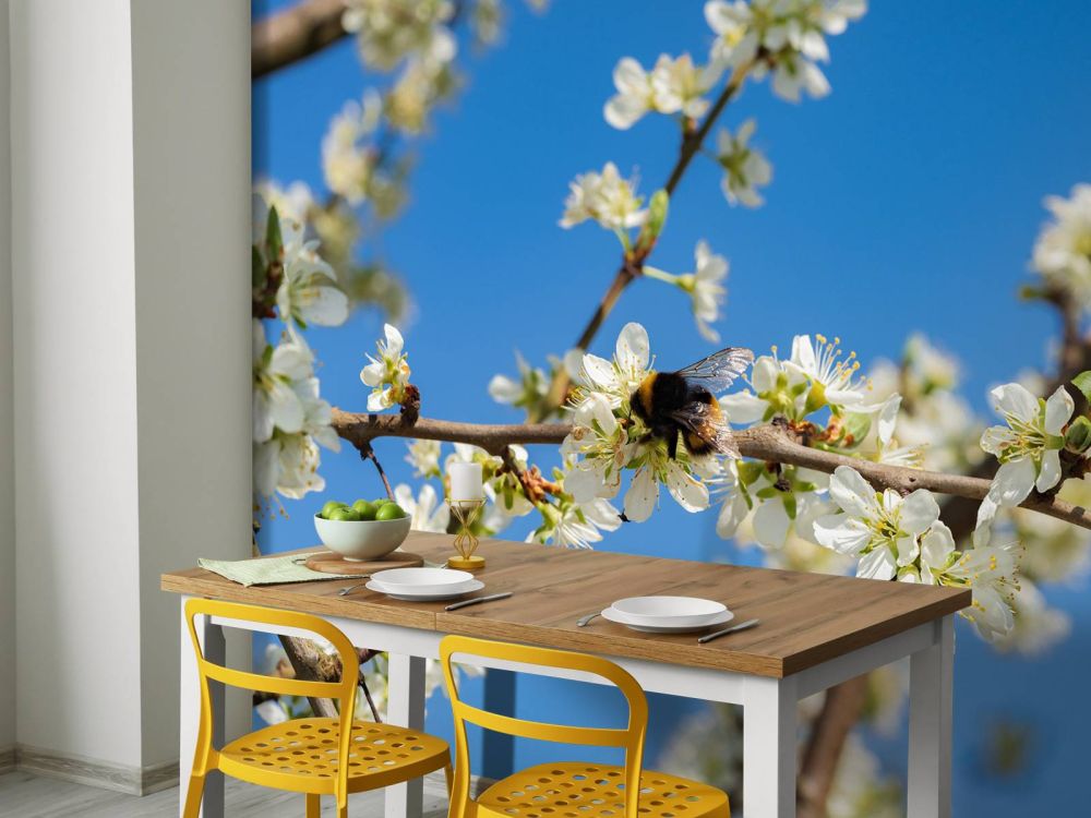 Hommel met witte bloesems