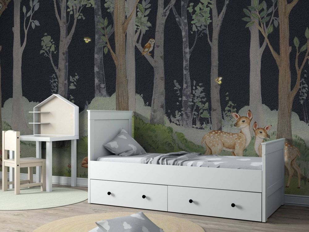 Dieren in de nacht
