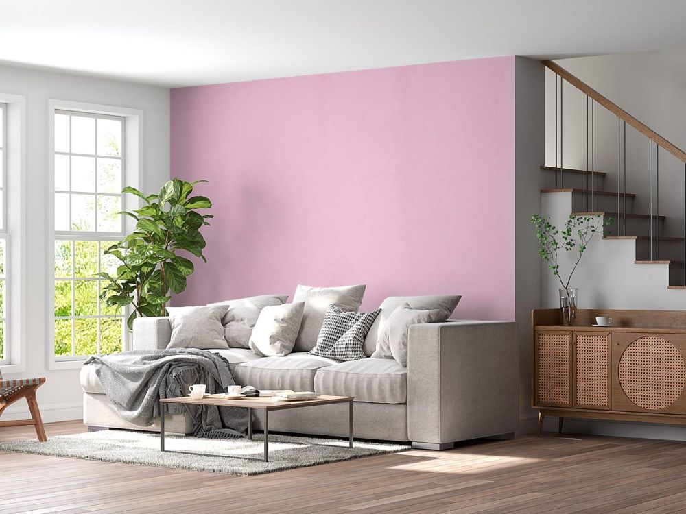 Koningin roze beton
