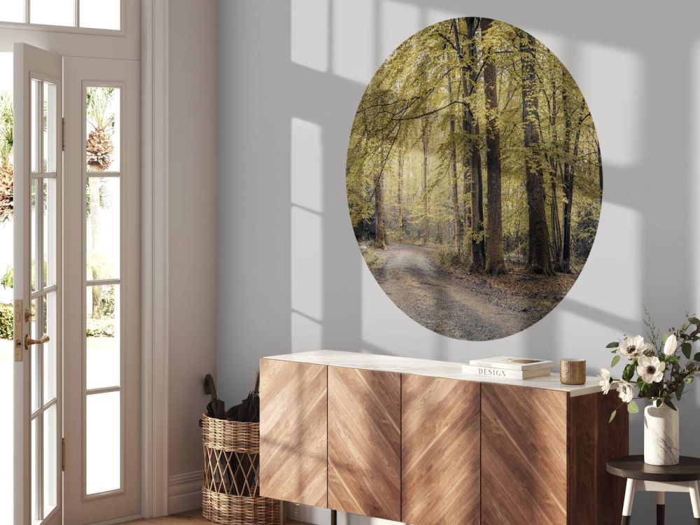 Pad door het groene bos