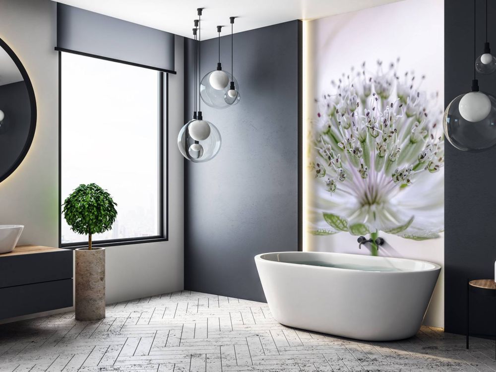 Astrantia