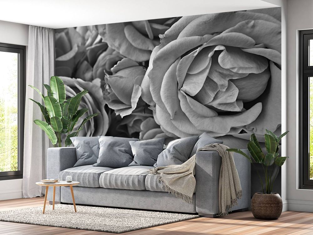 Rozen zwart-wit