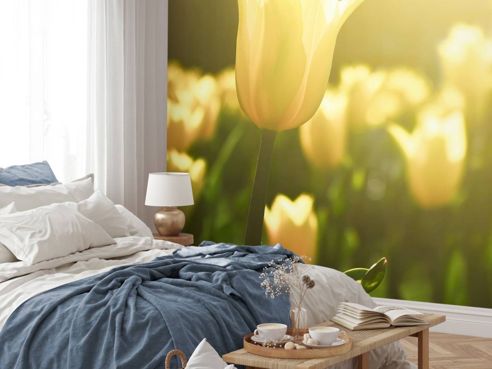 Close-up gele tulp
