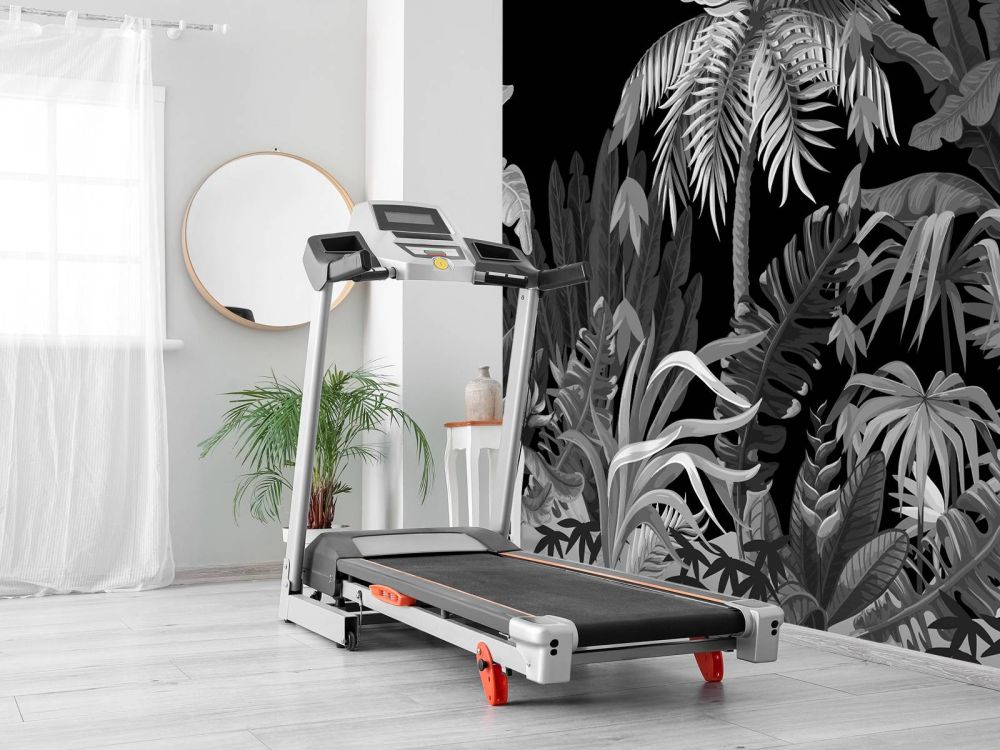 Jungle, zwart