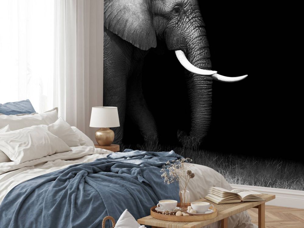 Olifant op gras