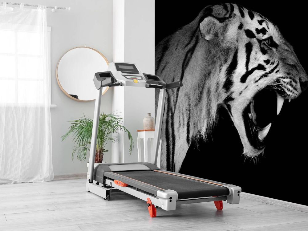 Roaring tiger black
