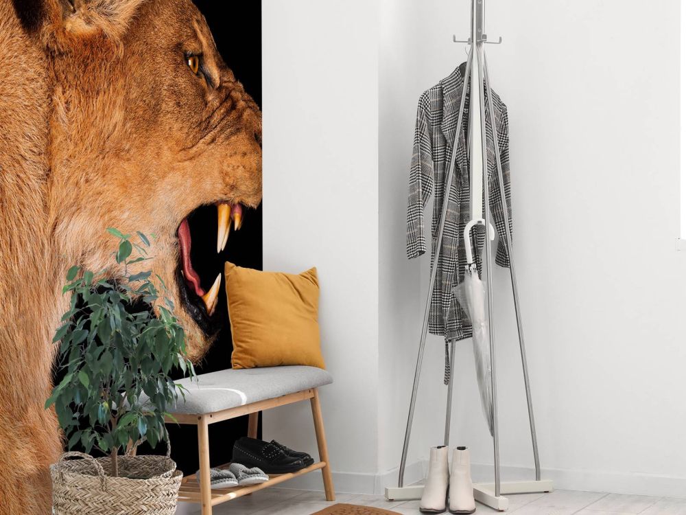 Lioness side view