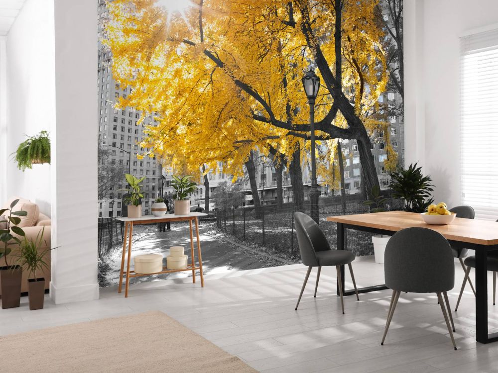 Een pad door Central park