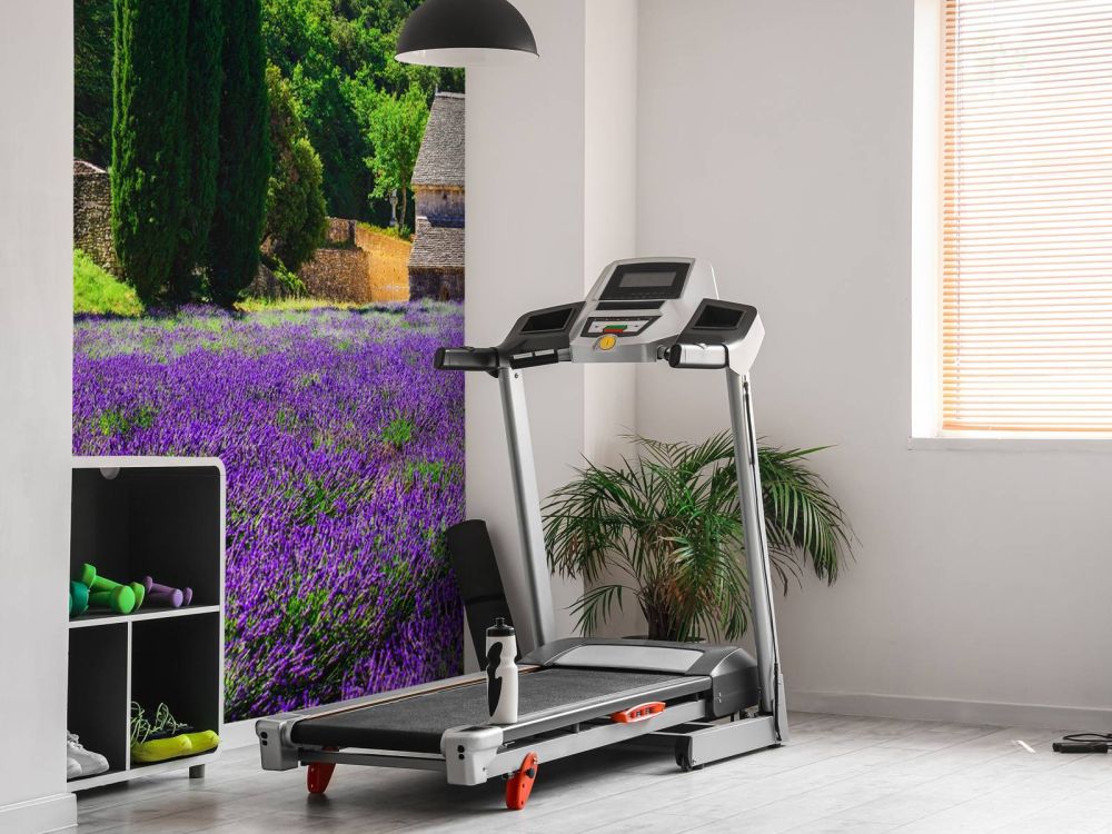 Sprookjes lavendelveld