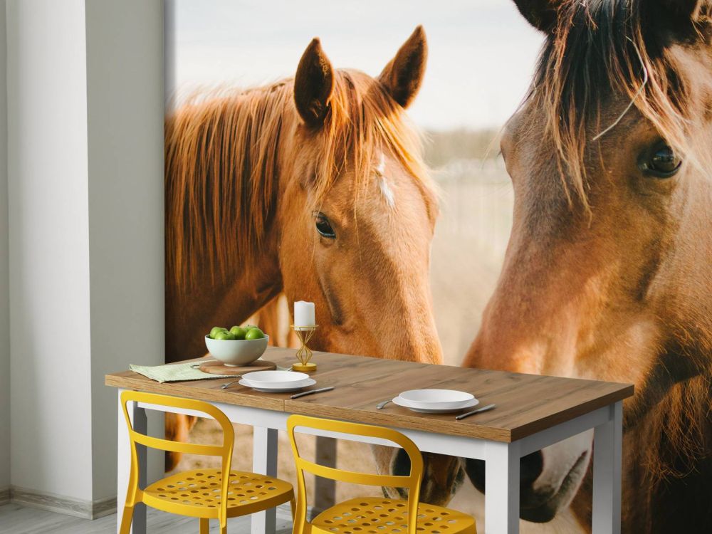 Twee paarden