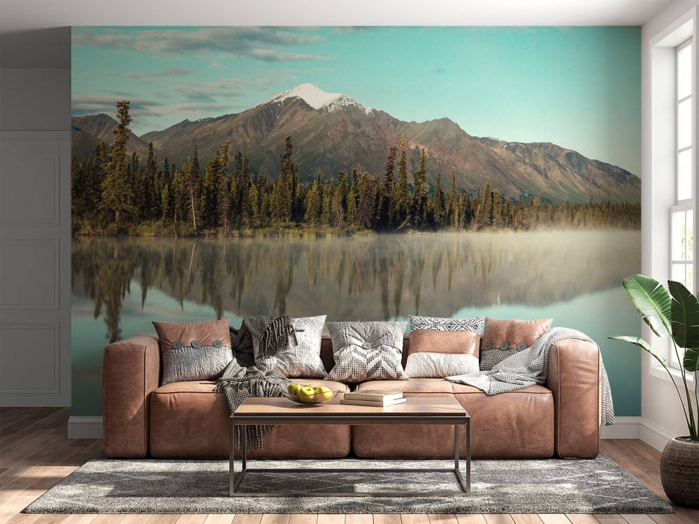 Landschap in Alaska