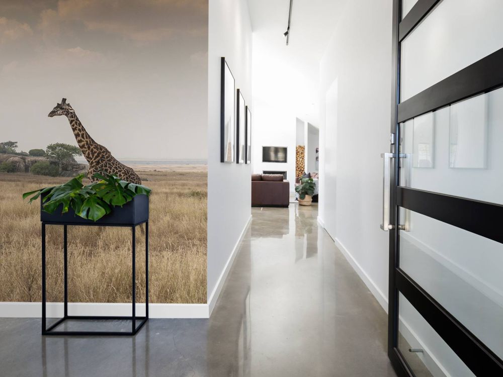 Giraffe op een savanne