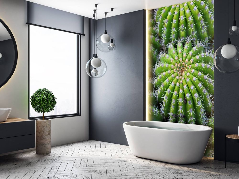 Cactussen