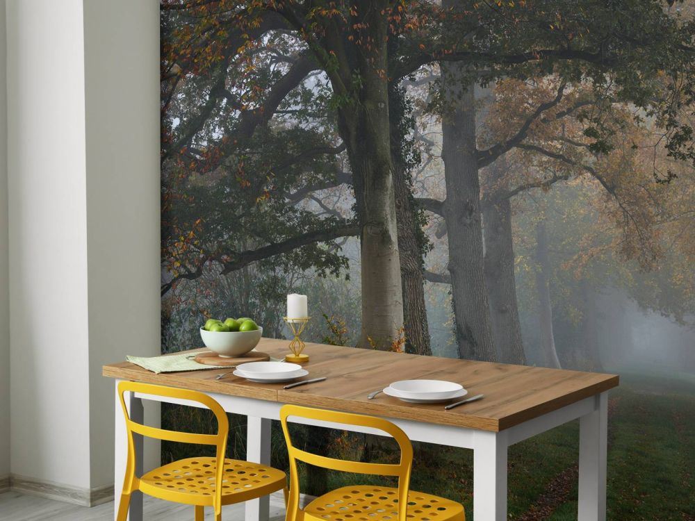 Laantje met bomen in de mist