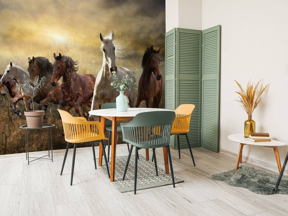 Galopperende paarden bij zonsondergang