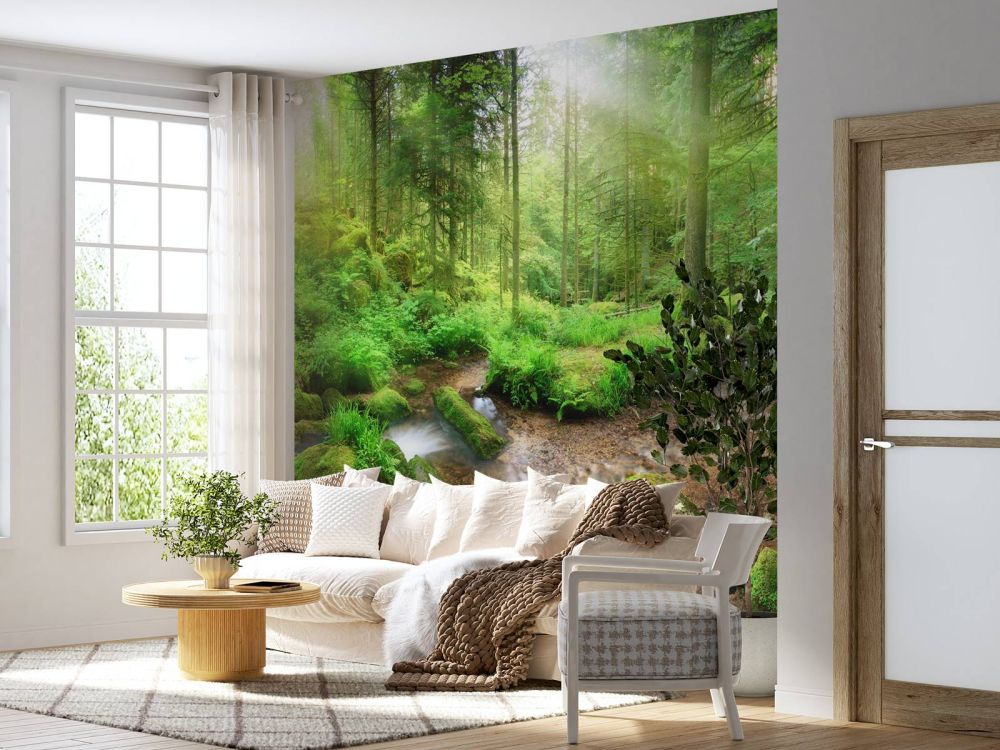Betoverend boslandschap