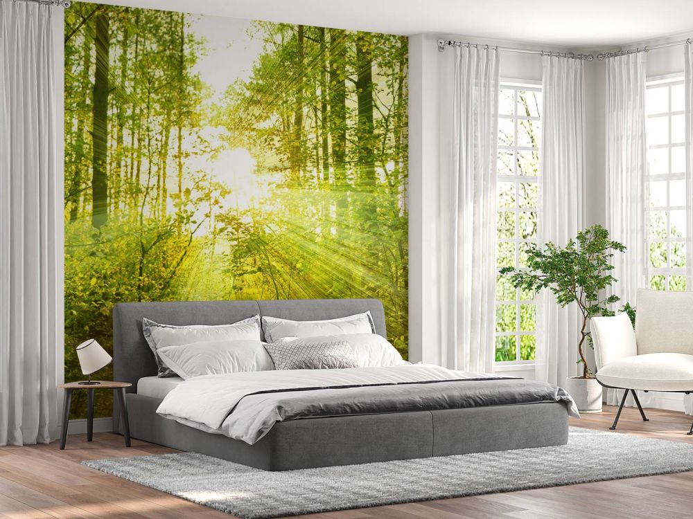 Zonnestralen in een groen bos