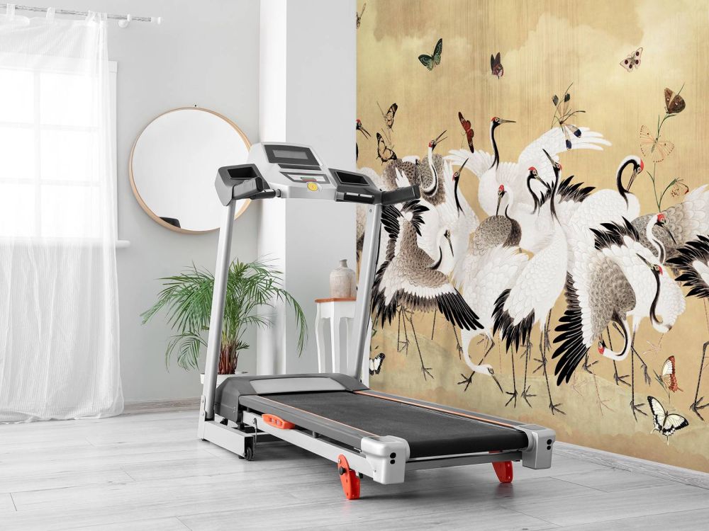 Golden Dance of Cranes