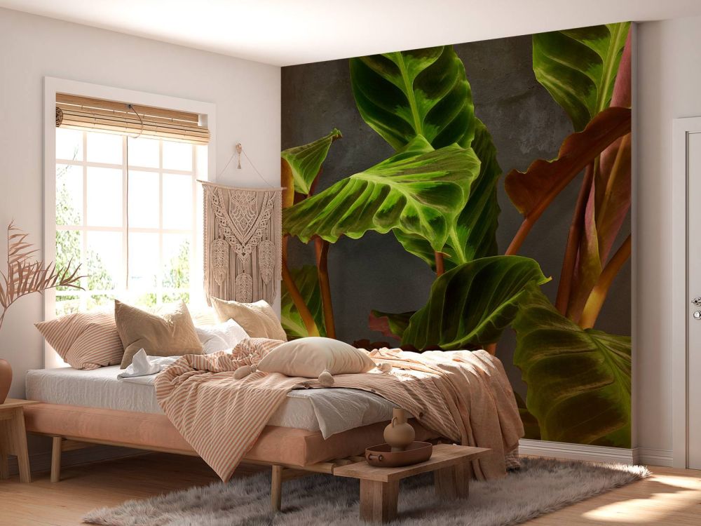 Plant met mooie groene bladeren