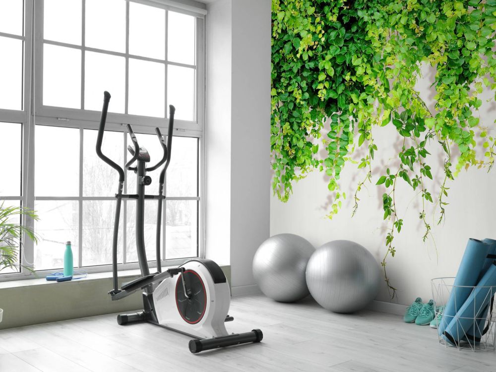 Groene hangende takken