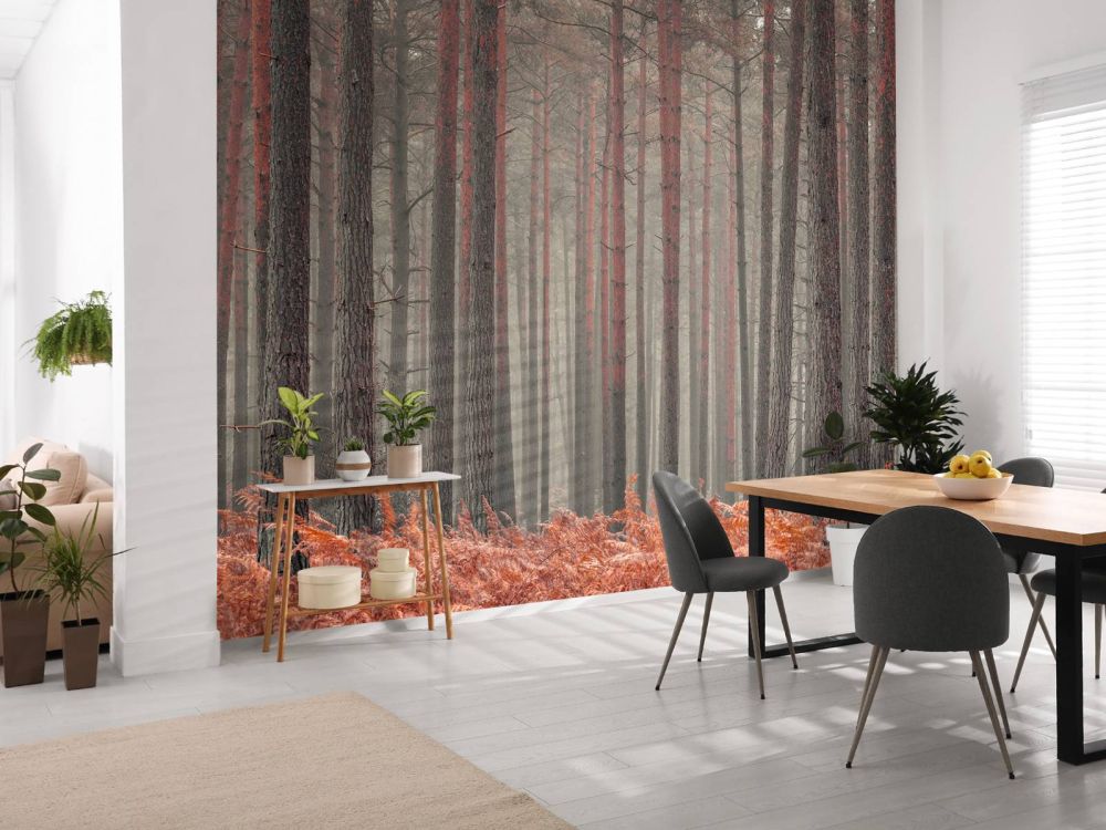 Bomen in de herfst