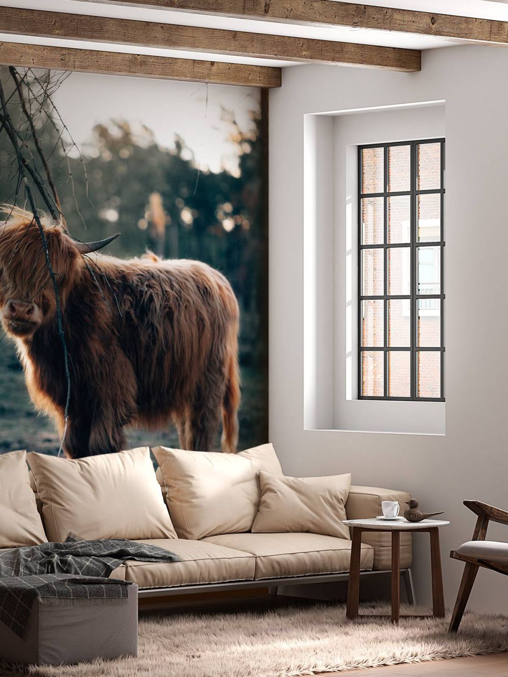 Schotse hooglander aan de bosrand