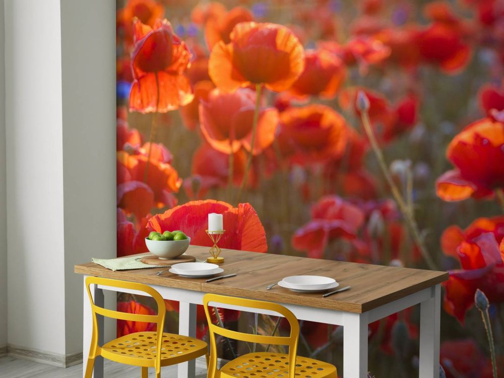 Klaprozen en korenbloemen