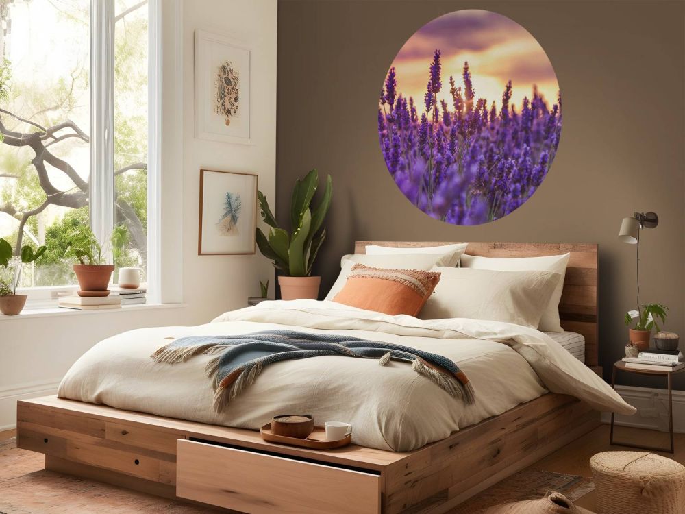 Lavendel bloemen