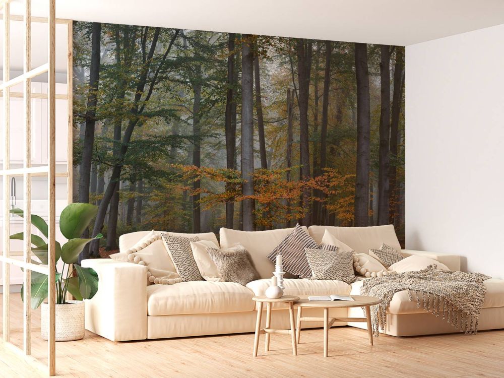 Herfstkleuren in mistig bos