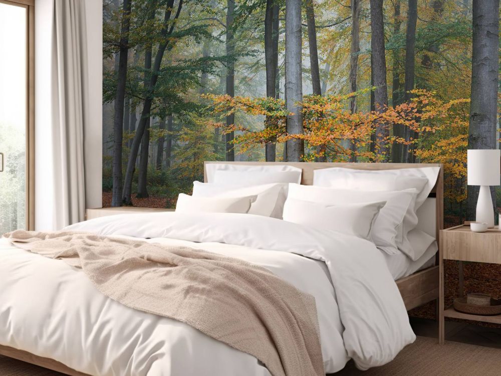 Herfstkleuren in mistig bos