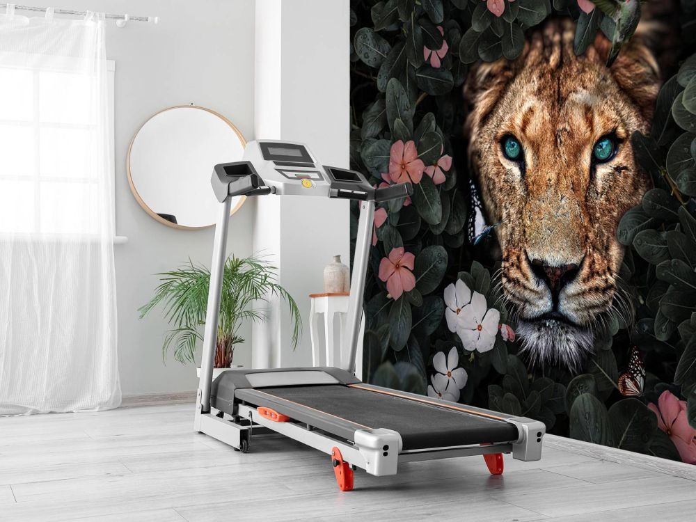 Jungle Lioness