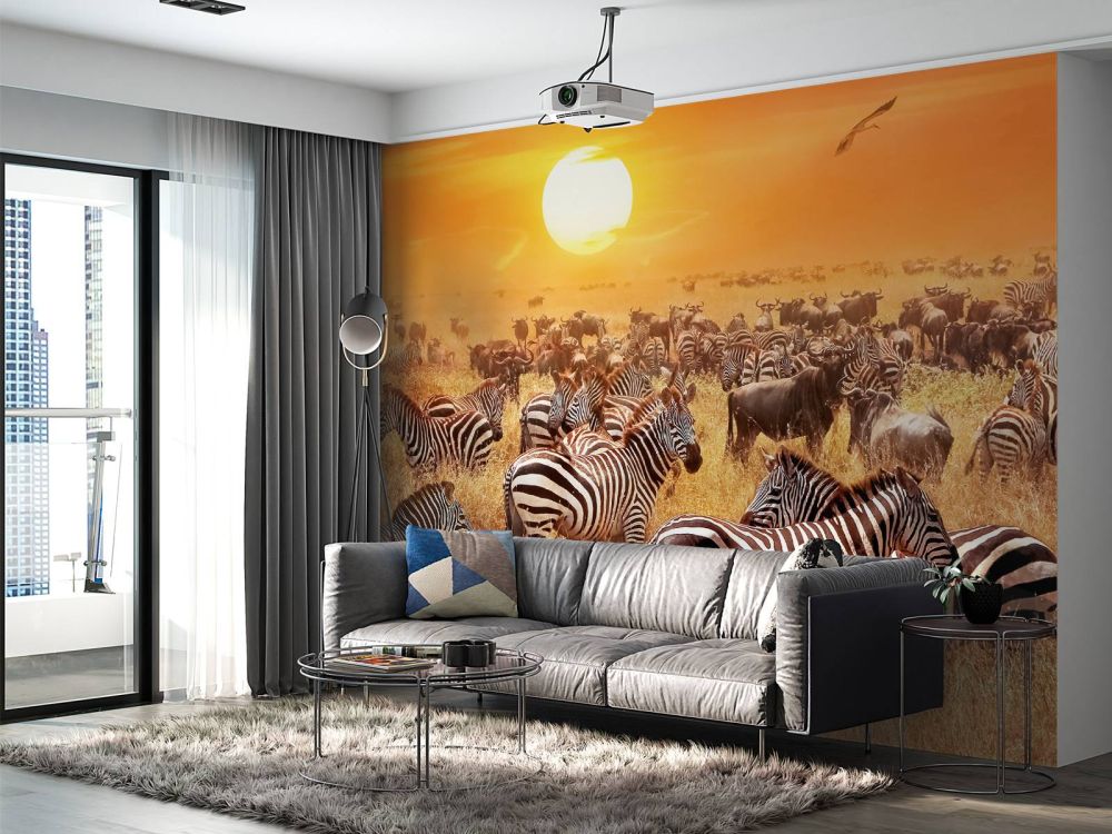 Savanne zon met zebra's